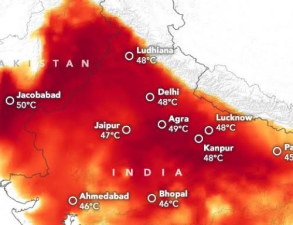 "Disengat" Gelombang Panas, Suhu di India Nyaris Capai 50 Derajat Celcius