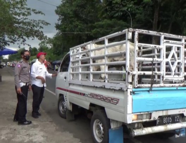 Cegah Virus PMK Masuk ke Cianjur, Petugas Razia Kendaraan Diperbatasan