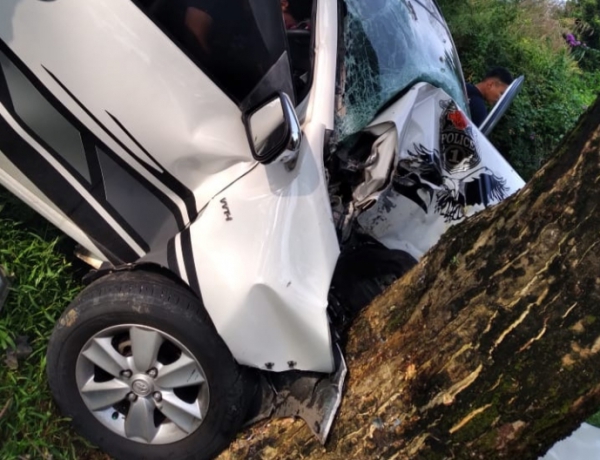Mobil Tabrak Pohon di Jalur Alternatif Puncak Bogor, 1 Meninggal dan 4 Luka