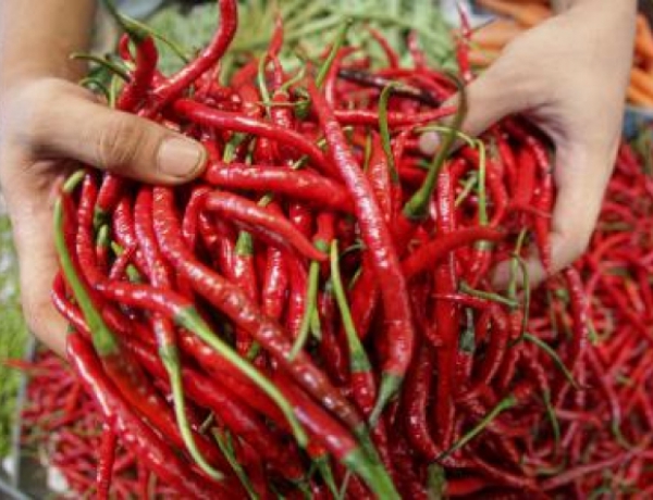 Harga Cabai Jablay di Pasar Ciawi Semakin Pedas, Ini Ungkap Pedagang