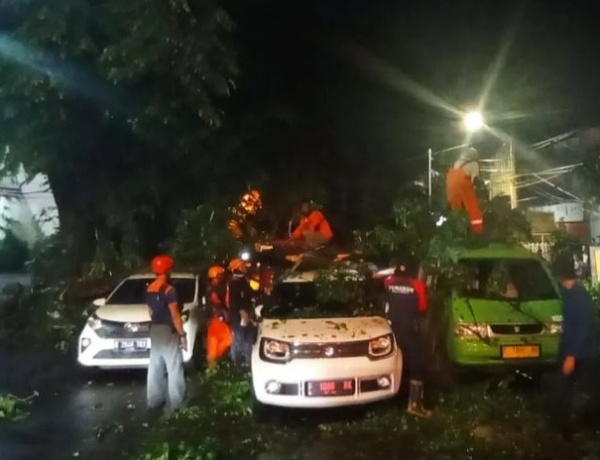 Pohon Setinggi 6 Meter Tumbang di Wilayah Bogor Selatan Timpa 3 Mobil