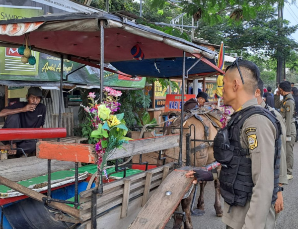 Pol PP Kabupaten Bogor Tertibkan PKL di Jalur Brimob Cikeas Gunung Putri 
