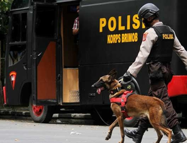 Dikabarkan 40 Orang Hilang Akibat Gempa Cianjur, Polri Turunkan Anjing Pelacak