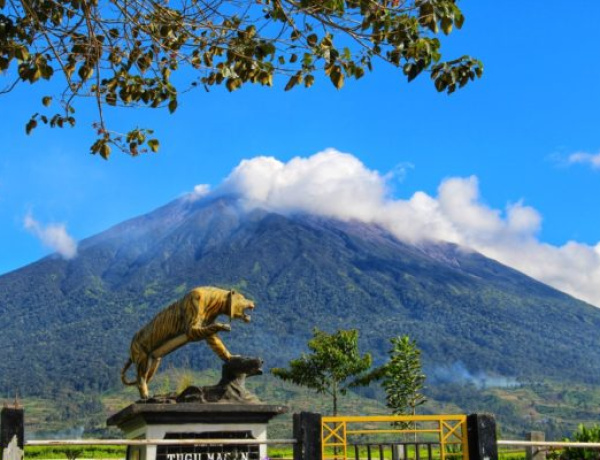 Gunung Kerinci Kembali Erupsi, Warga dan Pendaki Dilarang ke Puncak