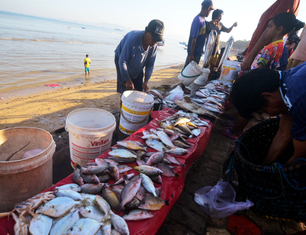 Harga Ikan Laut di Cirebon Naik Dampak Cuaca Buruk