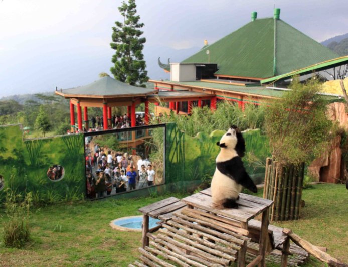 Taman Safari Bogor Sajikan Event Menarik Sambut Imlek
