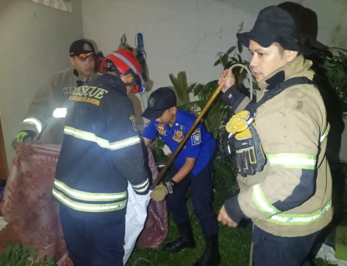 Musang Masuk Rumah Warga di Sukamiskin Bandung 