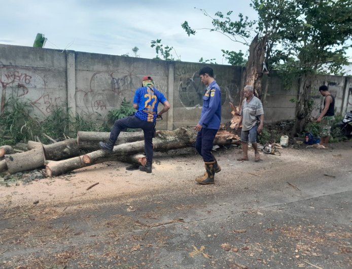 BMKG Bandung: Kecepatan Angin Dalam Sepekan Mencapai 28-31 KM/Jam