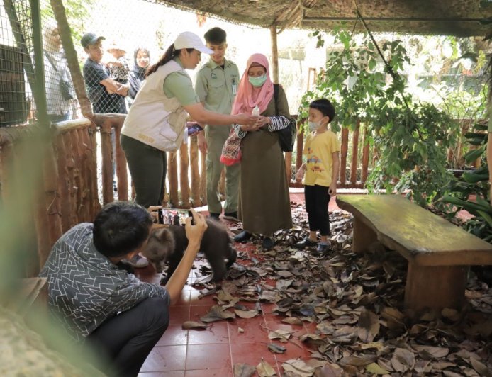World Bear Day, Pengunjung Taman Safari Bogor Disuguhi Atraksi Memberi Susu Beruang