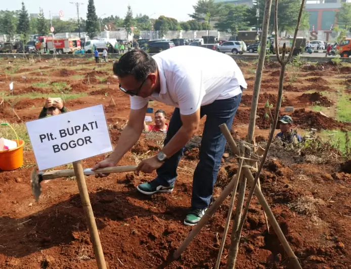 Pohon yang Ditanam di Eks Lahan PKL Stadion Pakansari Diberi Barcode, untuk Apa?