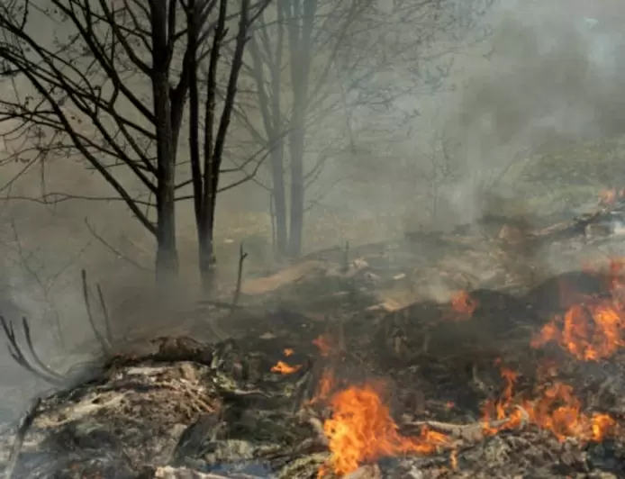 Hutan Seluas 102 Hektare Terbakar di Kawasan Gunung Ciremai 