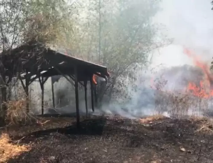 Diduga Warga Bakar Sampah, Lahan Kosong Seluas Satu Hektar Hangus Terbakar