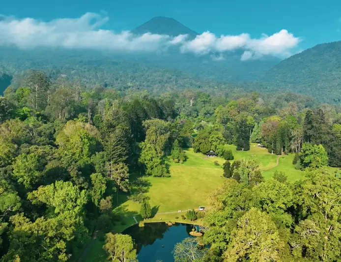 Begini Mitos dan Misteri di Kebun Raya Bogor, Ada Pohon Pengikat Tali Jodoh