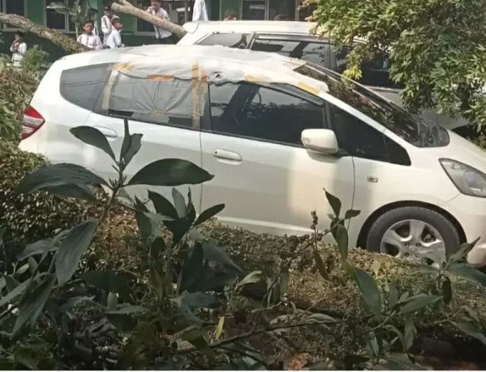 Pohon Tumbang di Jonggol, Timpa Mobil dan Atap Kelas SD