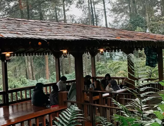 Kafe Alam Suguhkan Destinasi Liburan Akhir Tahun Ditengah Hutan