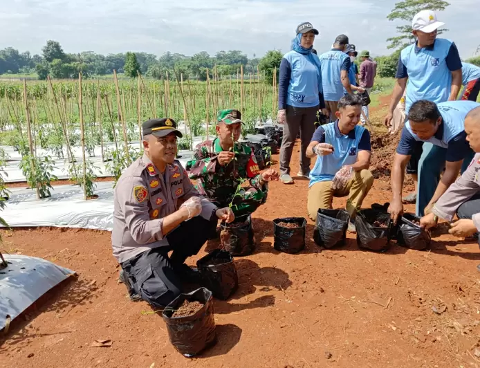 Babinsa Bantu Tanaman Cabe dengan kelompok Tani Harapan Jaya di Desa Gandoang Kecamatan Cileungsi