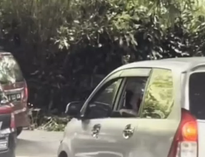 Viral Pengunjung Taman Safari Cisarua Nekat Buka Kaca Mobil saat Lewat Kandang Singa