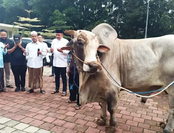 Rudy Susmanto Bagikan 48 Ekor Sapi Kurban dari Prabowo untuk Warga Babakan Madang