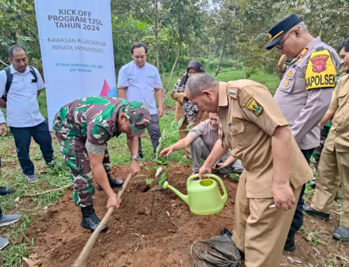 Dukung Kemajuan UMKM, PLN Peduli Kembangkan Kawasan Agromina Wisata Jayawangi