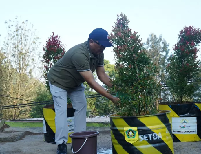 Minimalisir Digunakan Kembali, Pemkab Bogor Hijaukan Eks Pembongkaran di Kawasan Puncak