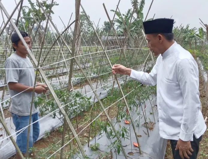 Rudy Susmanto-Jaro Ade Siapkan Tambahan Kuota Pupuk Bersubsidi untuk Petani Kabupaten Bogor