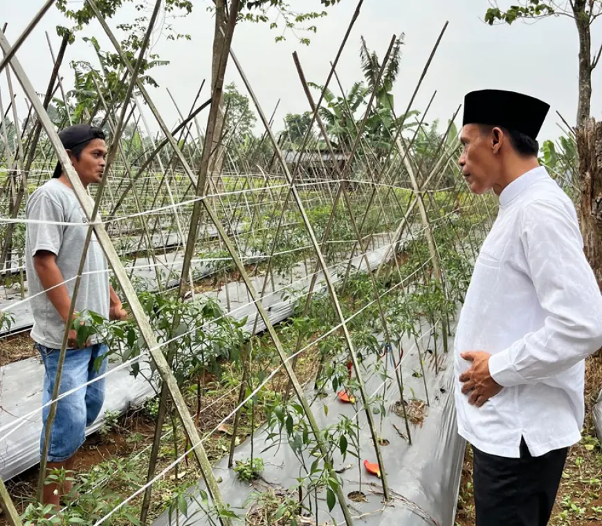 Jaro Ade dan Petani 2.webp