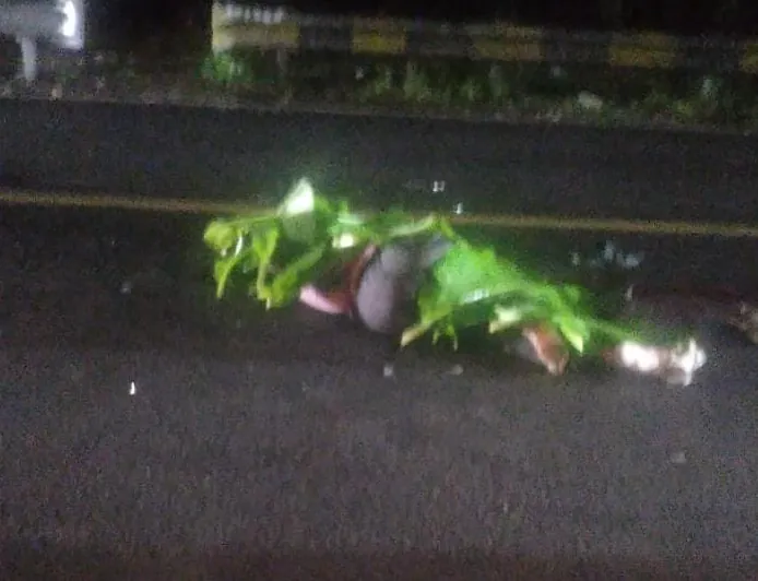 Puncak Kembali Makan Korban, Pemotor Meninggal Dunia Ditempat 