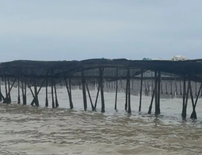 Pagar Laut di Pesisir Utara Tangerang Akhirnya Dibongkar Petugas bersama Nelayan