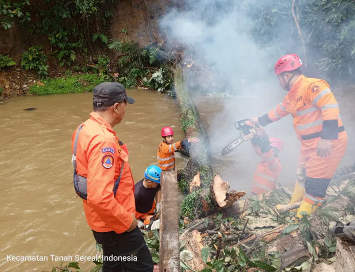 Curah Hujan Tinggi, 2 Rumah di Bogor Tertimpa Pohon Tumbang   